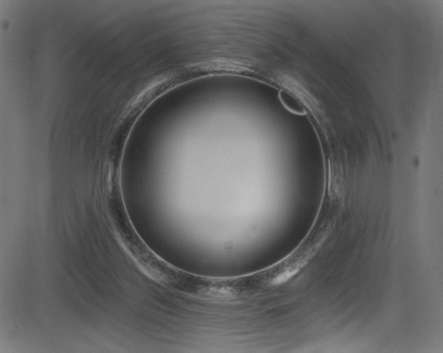 X0000082960157200702011316