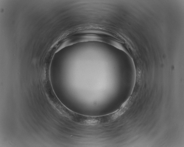X0000082960158200702011316