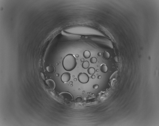 X0000082960163200702011316