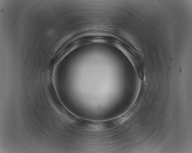 X0000082960164200702011316