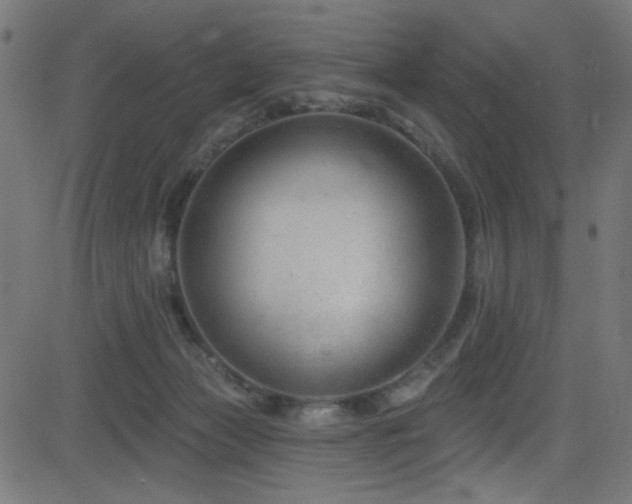 X0000082960173200702011316
