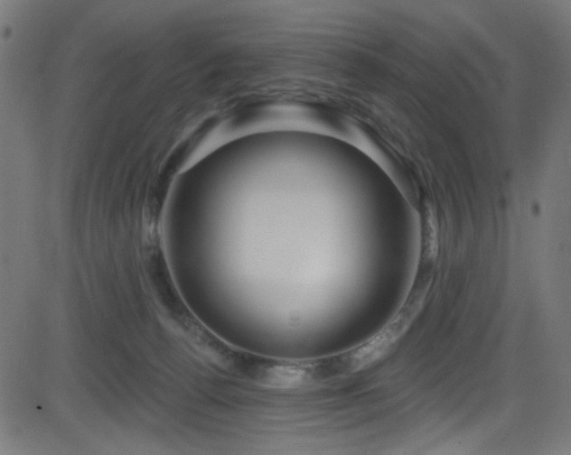 X0000082960176200702011316