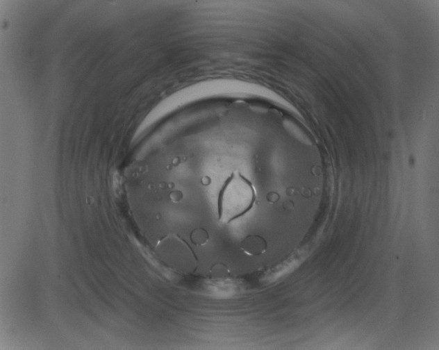 X0000082960181200702011316