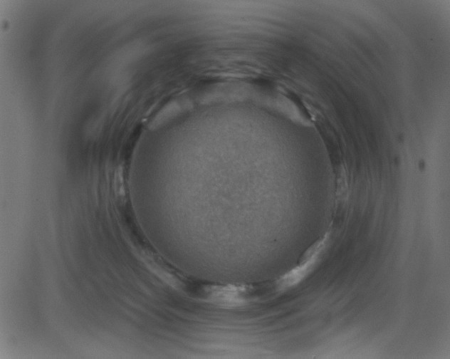 X0000082960182200702011316
