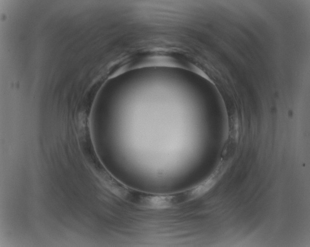 X0000082960184200702011316