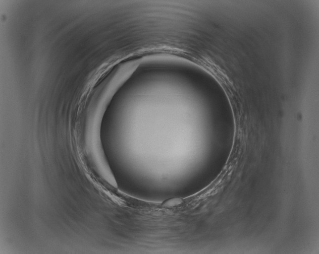 X0000082960193200702011316