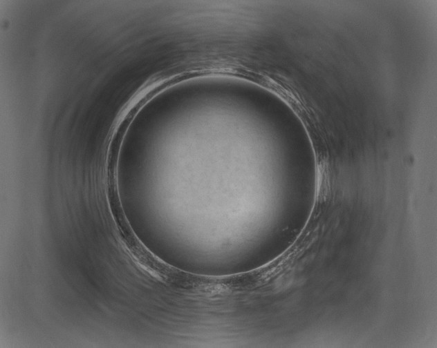 X0000082960195200702011316