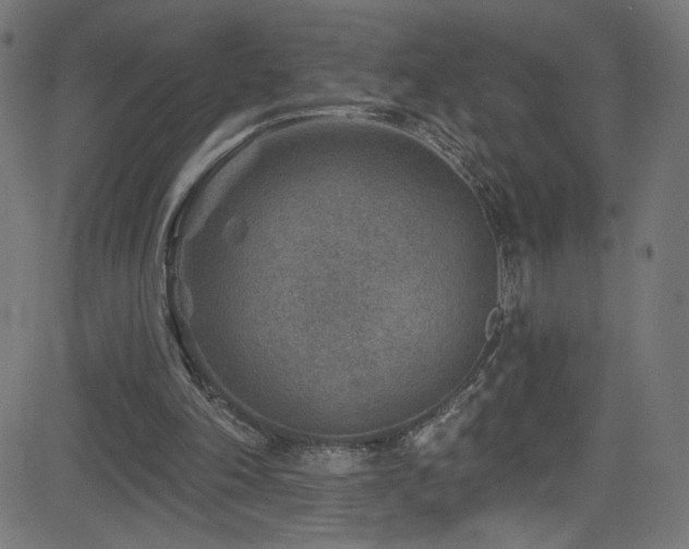 X0000082960198200702011316