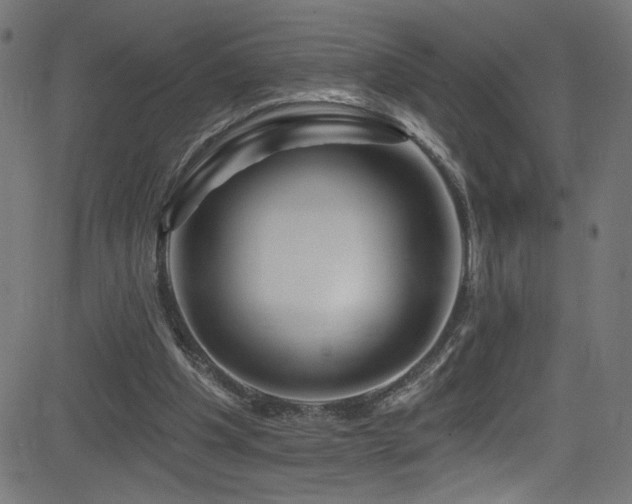 X0000082960201200702011316