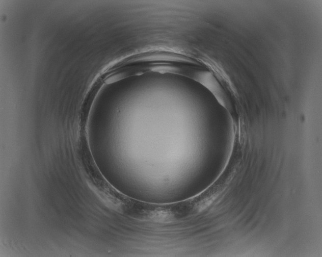 X0000082960204200702011316