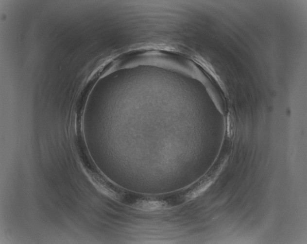 X0000082960205200702011316