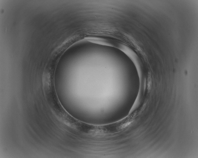 X0000082960211200702011315
