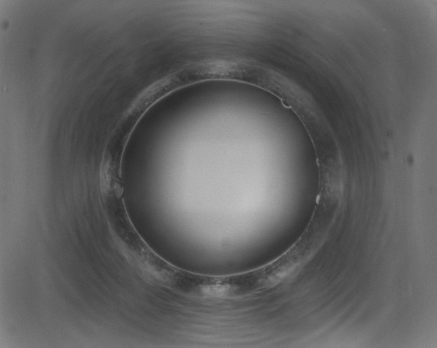 X0000082960216200702011315