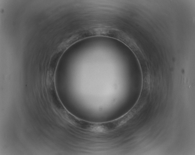 X0000082960218200702011315