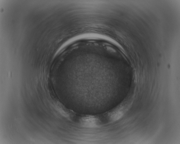 X0000082960219200702011315