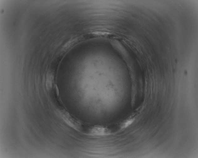 X0000082960227200702011315