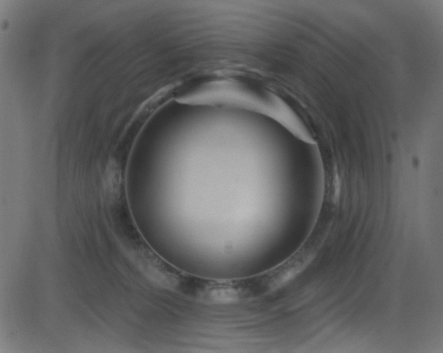 X0000082960228200702011315