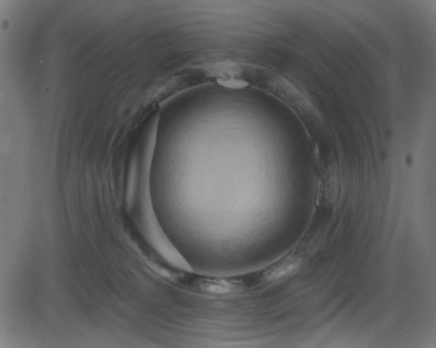 X0000082960229200702011315