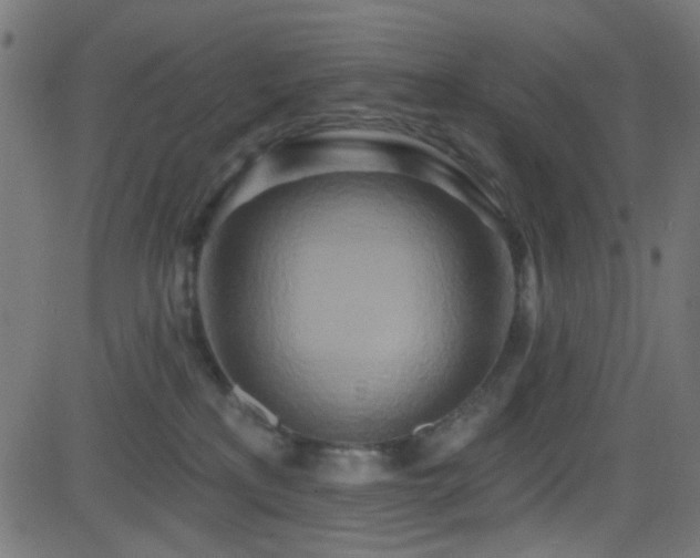 X0000082960233200702011315