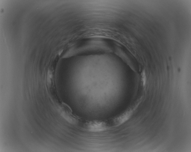 X0000082960235200702011315
