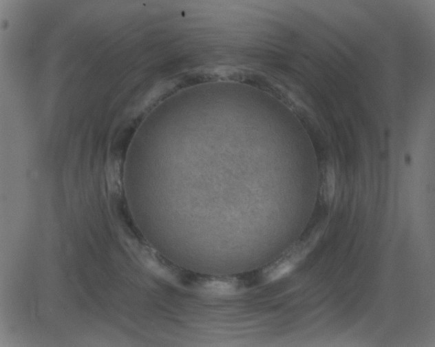 X0000082960236200702011315