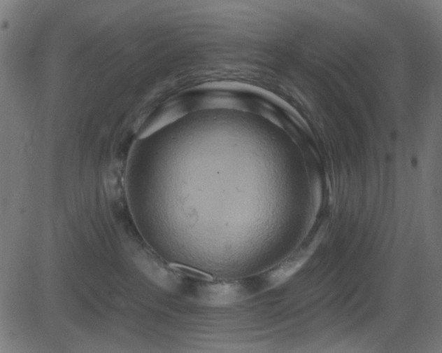 X0000082960237200702011315