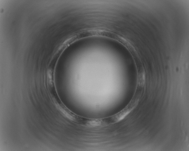 X0000082960238200702011315