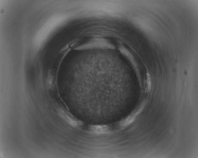 X0000082960239200702011315