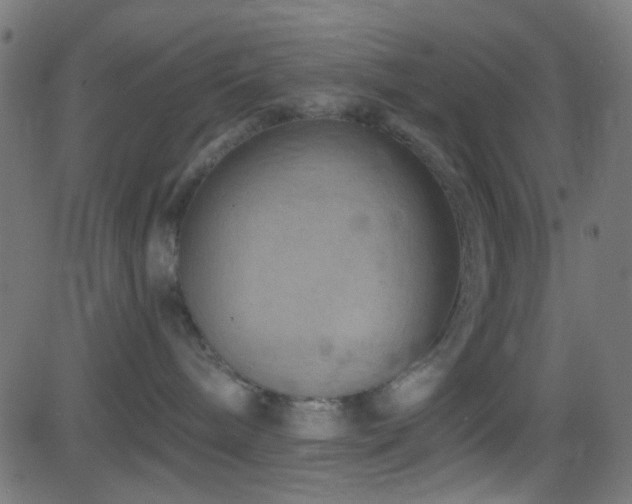 X0000082960240200702011315