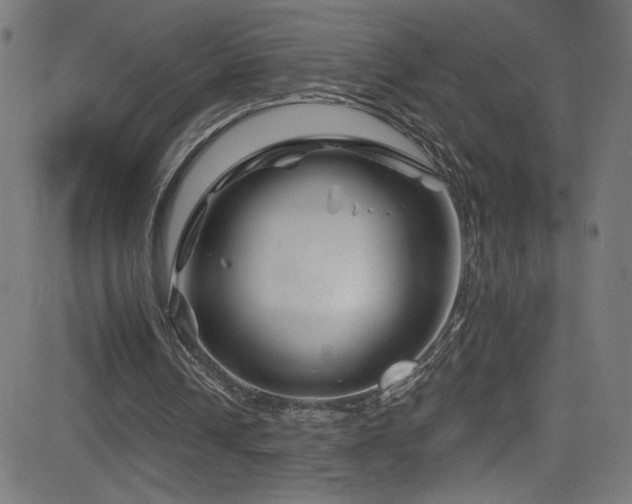 X0000082960242200702011314