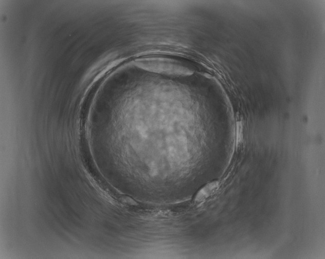 X0000082960243200702011314