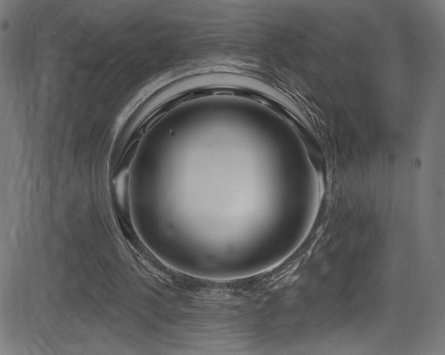 X0000082960244200702011314