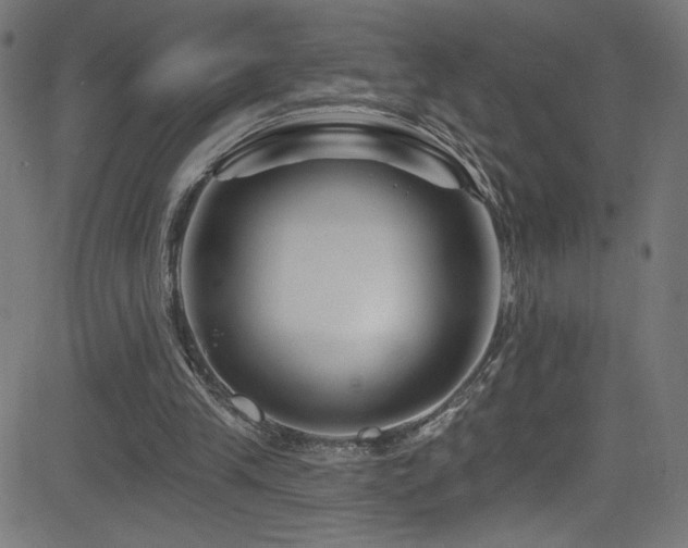 X0000082960245200702011314