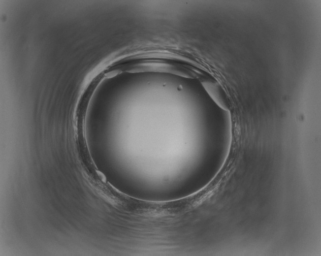 X0000082960246200702011314