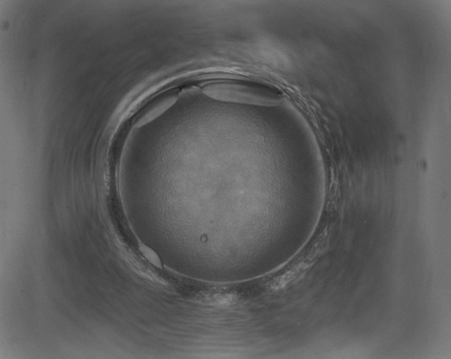 X0000082960247200702011314