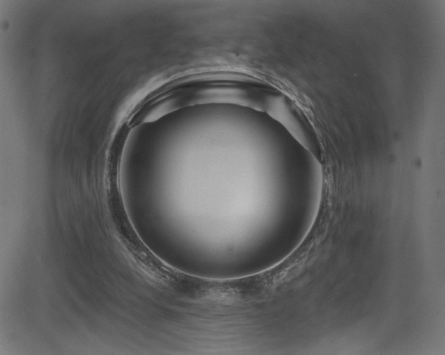 X0000082960248200702011314