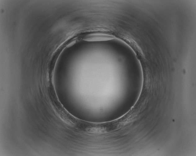 X0000082960251200702011314