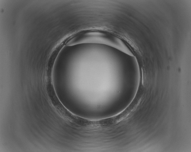 X0000082960252200702011314