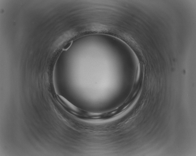 X0000082960256200702011314