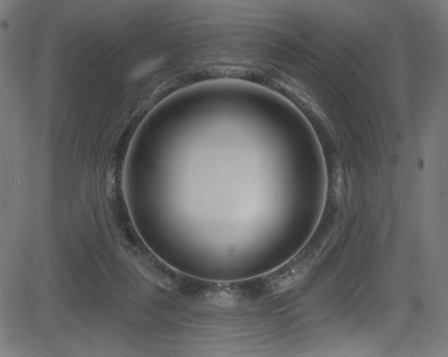 X0000082960259200702011314