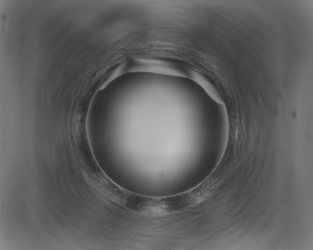 X0000082960263200702011315