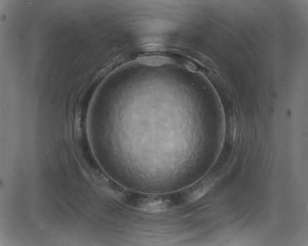 X0000082960267200702011315