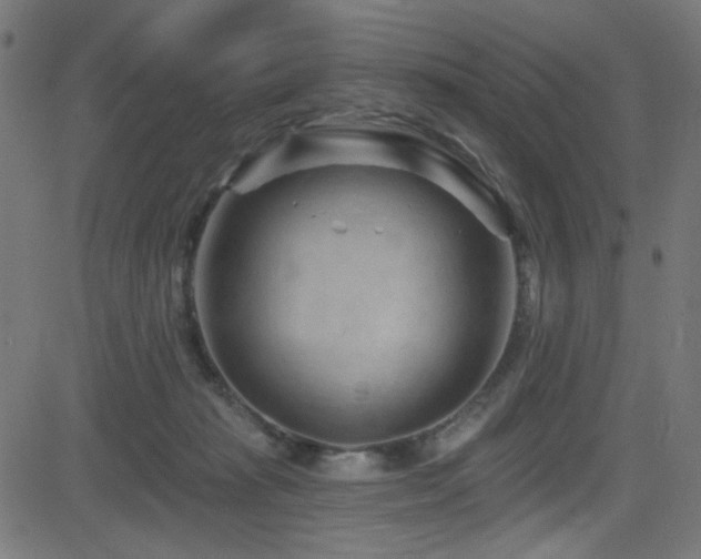 X0000082960269200702011315