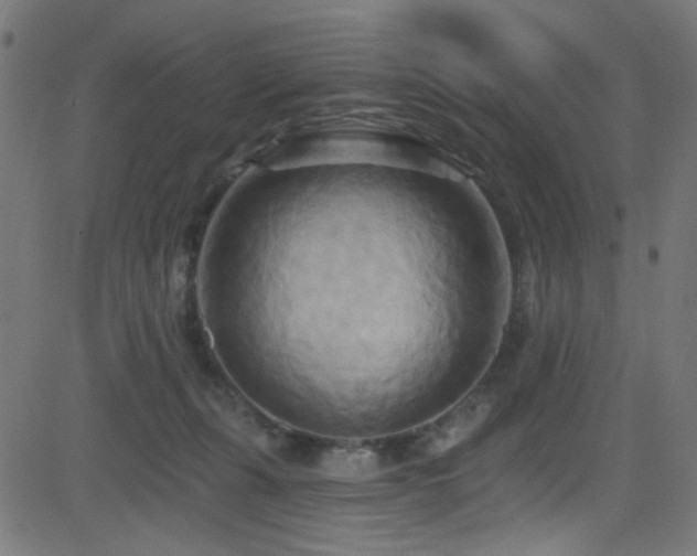 X0000082960271200702011315