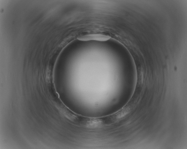 X0000082960274200702011315