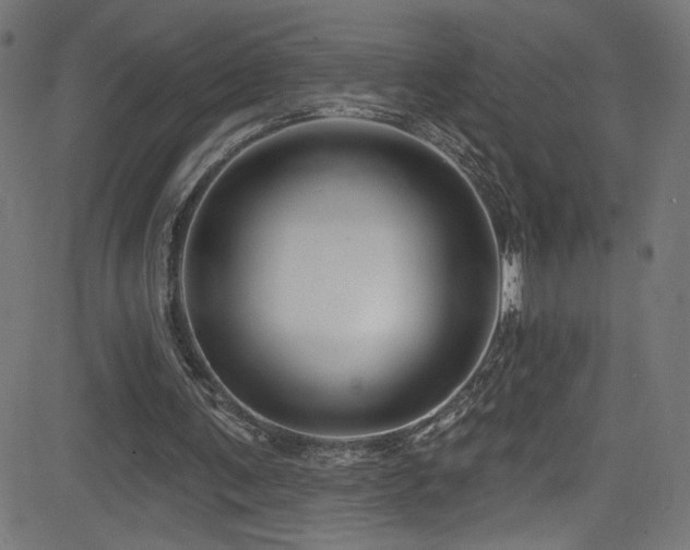 X0000082960291200702011314