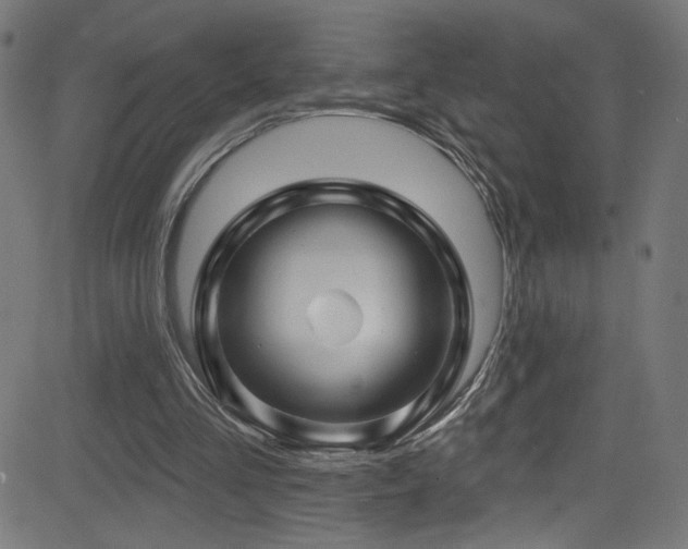 X0000082960293200702011314