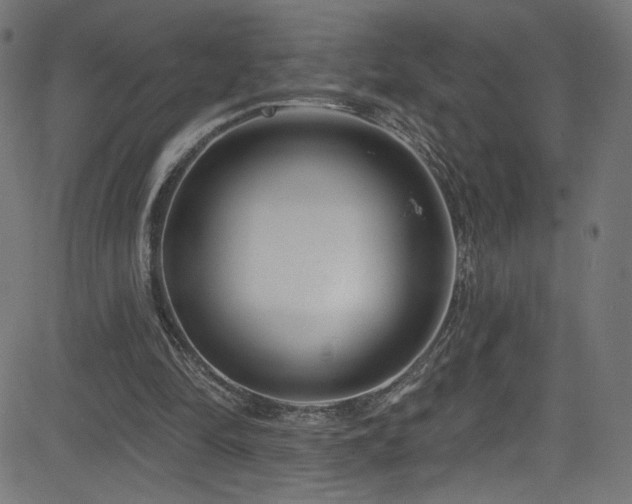 X0000082960294200702011314