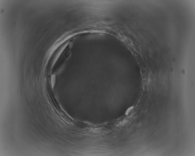 X0000082960295200702011314