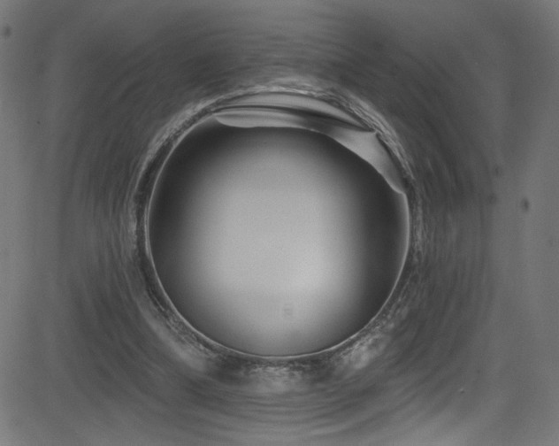 X0000082960298200702011314